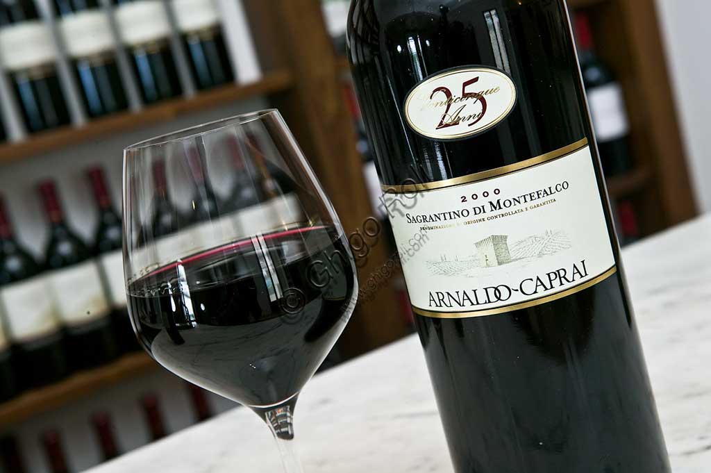 Winery Arnaldo Caprai: tasting of Sagrantino wine of Montefalco.