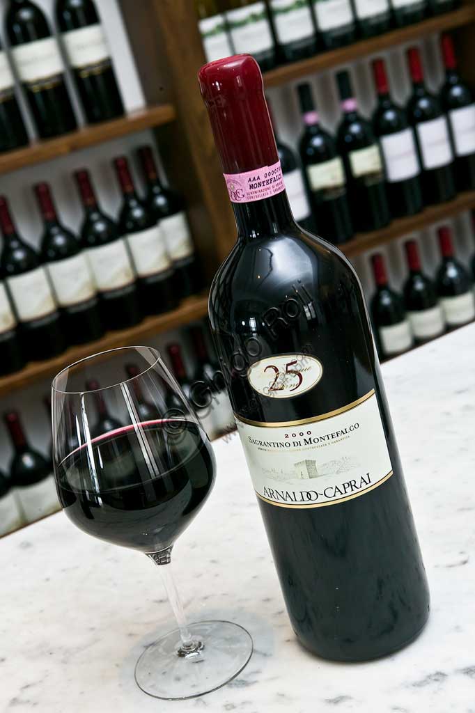 Winery Arnaldo Caprai: tasting of Sagrantino wine of Montefalco.
