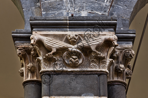 Genova, Duomo (Cattedrale di S. Lorenzo), interno, navata centrale, matroneo di destra, ordine superiore: "Capitello con draghi dalle code intrecciate" (1312), di scultore campionese della bottega del Maestro di Giano.
