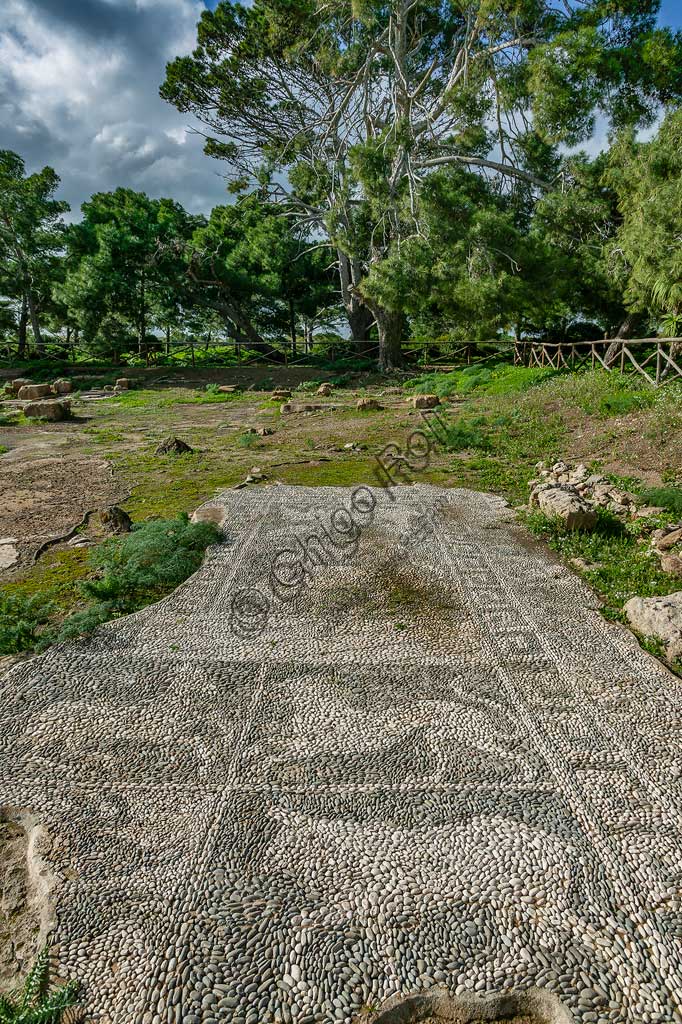Isola di San Pantaleo, Mothia: veduta della "Casa dei Mosaici". Particolare di mosaico a ciottoli bianchi e neri raffigurante animali (leone, cervide).