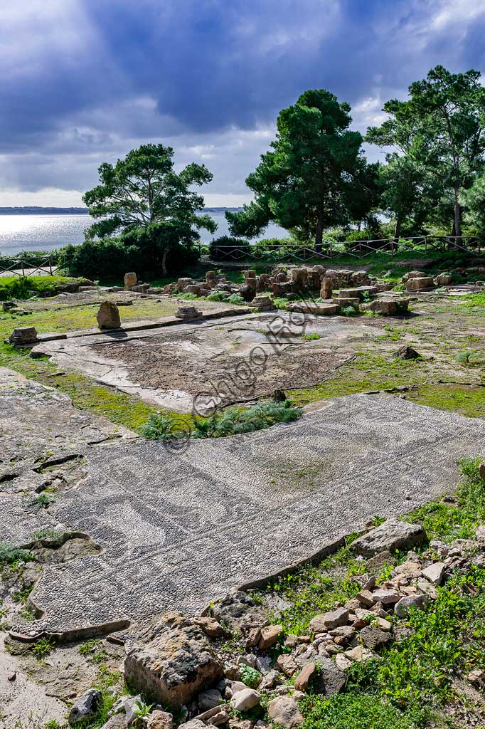 Isola di San Pantaleo, Mothia: veduta della "Casa dei Mosaici". Particolare di mosaico a ciottoli bianchi e neri raffigurante animali.