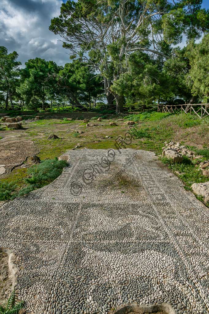 Island of San Pantaleo, Motya: view of the "House of Mosaics". Detail of a mosaic of white and black pebbles depicting animals (lion, deer).