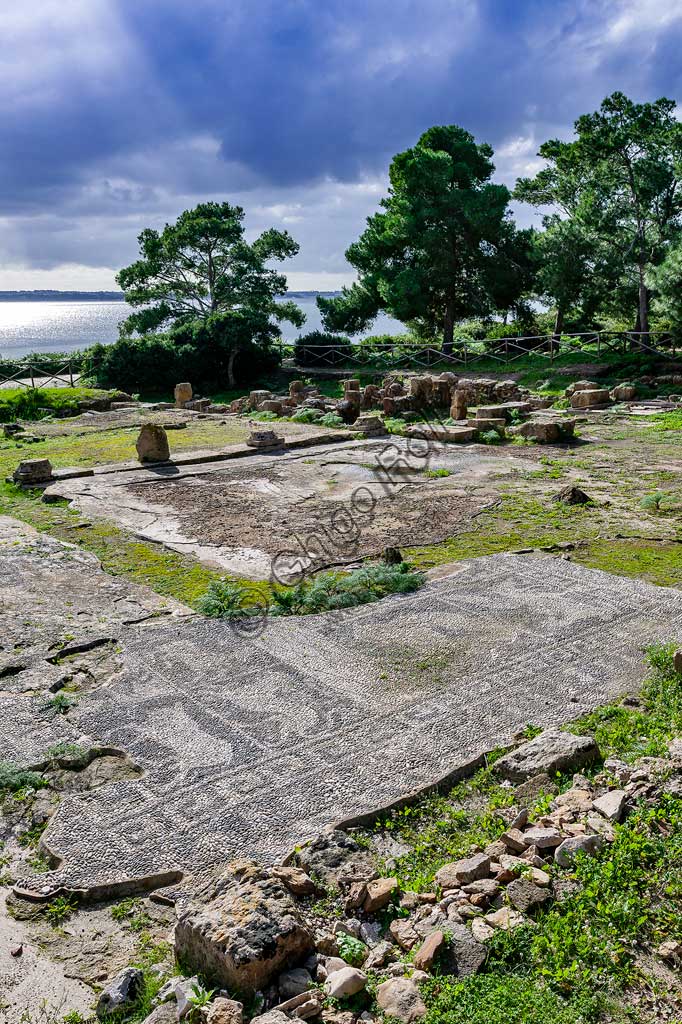 Isola di San Pantaleo, Mothia: veduta della "Casa dei Mosaici". Particolare di mosaico a ciottoli bianchi e neri raffigurante animali.