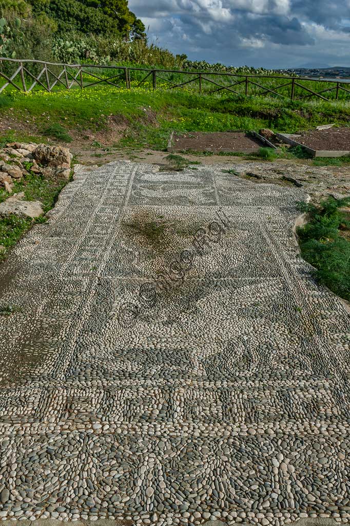 Island of San Pantaleo, Motya: view of the "House of Mosaics". Detail of a mosaic of white and black pebbles depicting animals: griffin attacking a cervid.