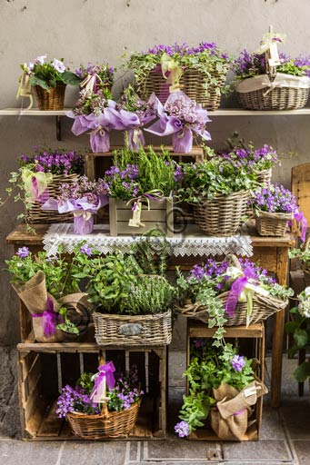 Plant baskets with violet flowers.