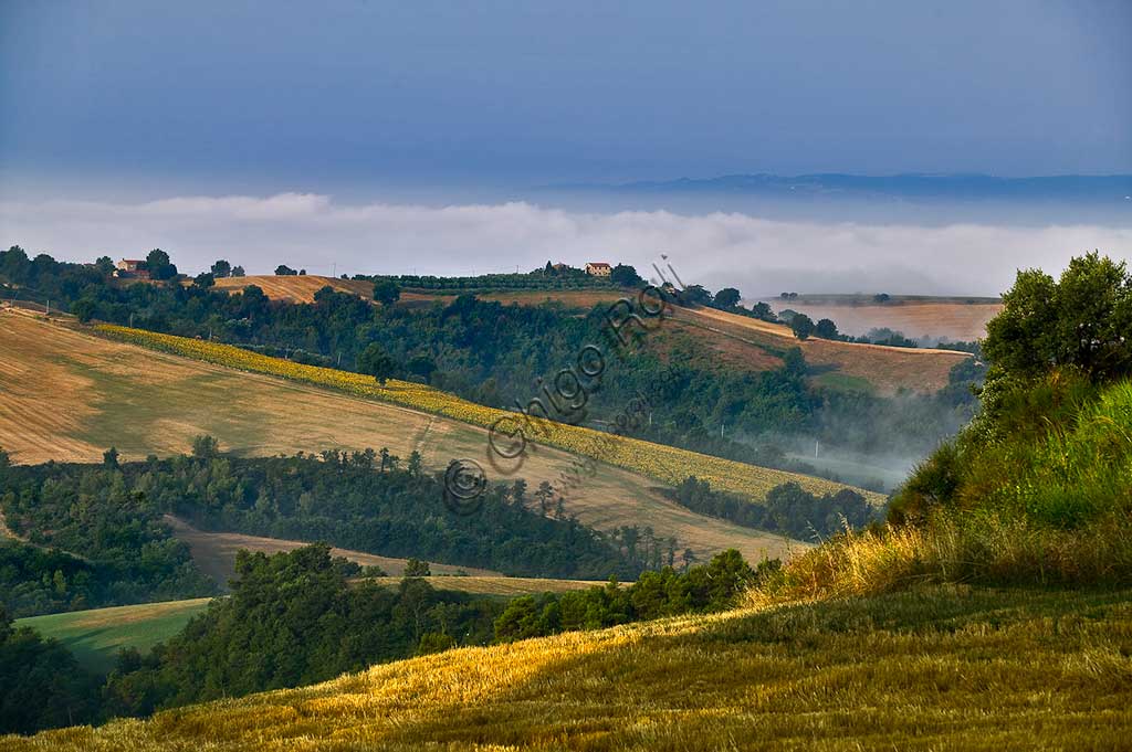 Colline nei pressi di Saragano.