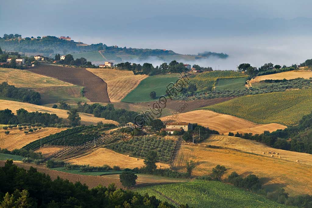 Colline nei pressi di Saragano.