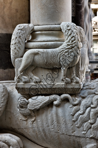 Genova, Duomo (Cattedrale di S. Lorenzo), la facciata, lato ovest, angolo nord-ovest: base di "colonna con leoni, leonesse e leone stiloforo", di bottega di Benedetto Antelami, 1200 circa.Particolare.