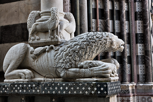 Genova, Duomo (Cattedrale di S. Lorenzo), la facciata, lato ovest, angolo nord-ovest: base di "colonna con leoni, leonesse e leone stiloforo", di bottega di Benedetto Antelami, 1200 circa.
