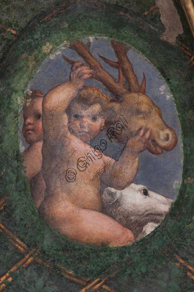 Parma, Ex-Monastero di San Paolo, Camera della Badessa o Camera di San Paolo o di Giovanna da Piacenza, la volta: affreschi di Antonio Allegri, detto " il Correggio " (1518-1519) incentrati sul tema di Diana. Particolare con putti, cane e cervo.