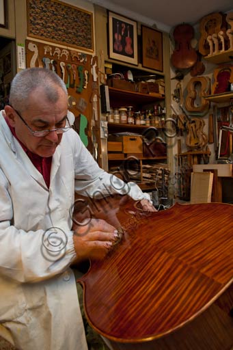 Cremona, bottega di liutaio: Laboratorio di Stefano Conia. Nella foto, Stefano Conia il vecchio.