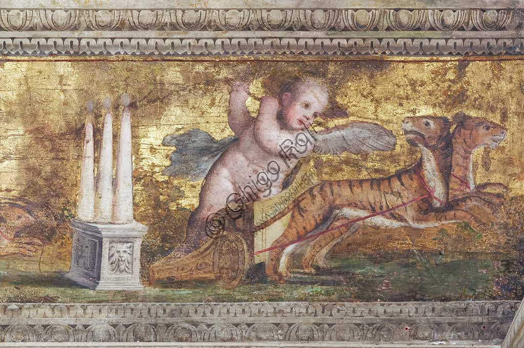 Ferrara, Castello Estense (detto anche Castello di San Michele): particolare dei cornicioni  decorati con putti alla guida di bighe fantastiche e festoni di frutta in campo d'oro.Opera di Leonardo da Brescia. La sala, già stanza privata di Ercole II, era conosciuta nel Cinquecento come camera dello specchio. Da essa prende il nome l'intero appartamento di rappresentanza voluto da Alfonso II.Le scene proposte nella volta di questa sala vengono oggi generalmente interpretate come un'allegoria della vita umana.