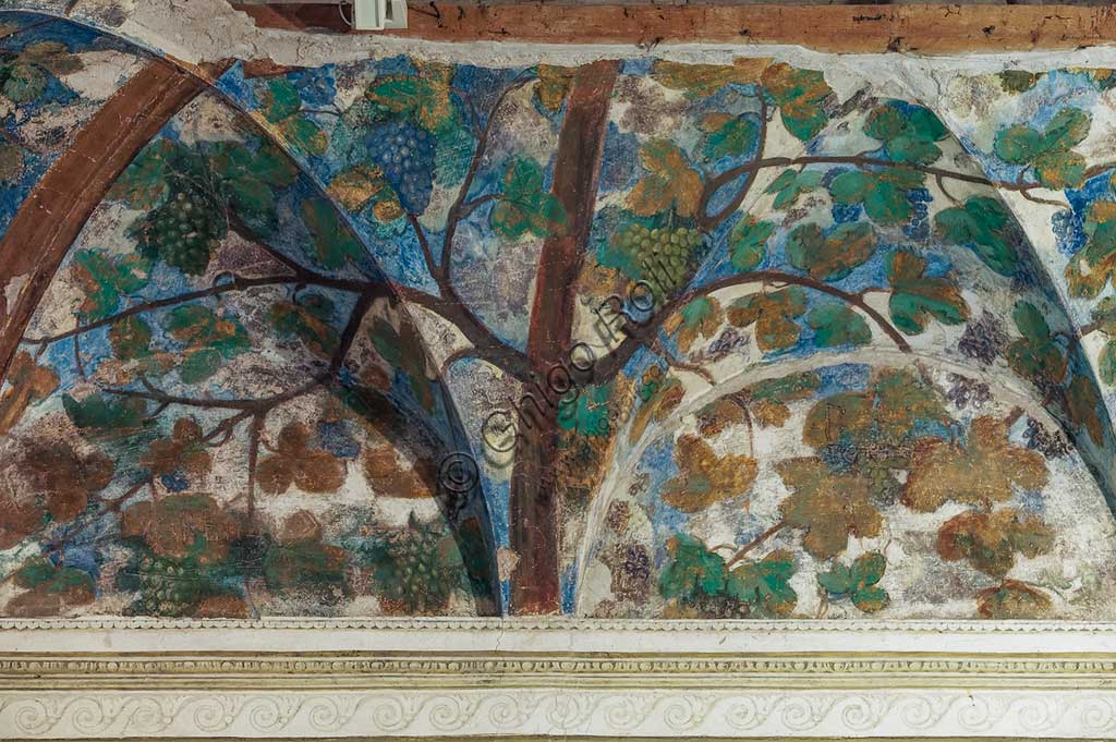 Voghiera, Delizia di Belriguardo, one of the 19 prestigious residences (called Delizia) belonging to the Este, Sala delle Vigne (the Vineyard Hall): detail of the cycle of frescoes, by Girolamo da Carpi, with the collaboration of Dosso Dossi and Benvenuto Tisi da Garofalo, 1537. Detail of the decorations are vine shoots, bunches of grapes.