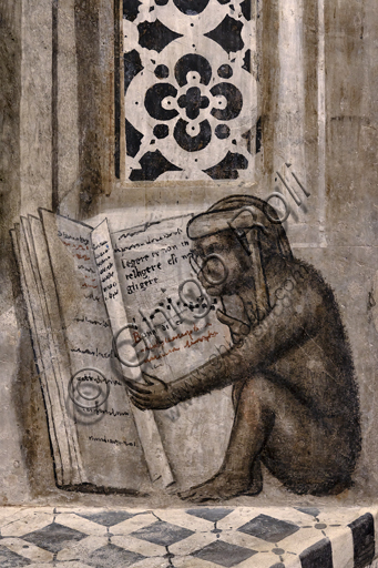 “La scimmia con gli occhiali che legge”. Orvieto, MODO (Museo dell'Opera del Duomo di Orvieto), Libreria Alberi, ciclo di affreschi a monocromo dove sono rappresentati famosi maestri classici delle diverse materie (diritto, medicina, astronomia, grammatica), attribuiti alla scuola di Luca Signorelli, 1501-1503: particolare del disegno più celebre e più curioso  della scimmia con gli occhiali che apre un libro dove compare scritta la frase “Legere et non intelligere est negligere” (Leggere e non capire equivale a non leggere). Una massima morale di un autore anonimo datata indicativamente intorno al III secolo e diventata molto famosa nelle scuole, in particolare per gli studenti della grammatica latina.