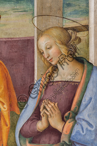 Montefalco, Museum of St. Francis, Church of St. Francis: "Nativity with the Annunciation and the Eternal among angels and cherubs", by Pietro Vannucci known as  Perugino, 1503. Fresco. Detail of the "Nativity": the Virgin Mary.