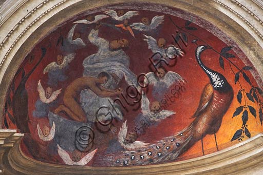 Cremona, Duomo (Cattedrale di Santa Maria Assunta), interno, controfacciata: particolare con pavone della "Deposizione", affresco del Pordenone (Giovanni Antonio de' Sacchis), 1522. 