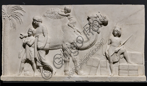 "L’ingresso di Alessandro Magno in Babilonia”, fregio eseguito tra il 1818 e il 1828 da Bertel Thorvaldsen  (1770 - 1844) calco in gesso da un originale in marmo di Carrara. E’ concepito come l’incontro tra due cortei che convergono verso il centro, cioè verso la figura di Alessandro Magno che avanza sul carro guidato dalla Vittoria, seguito dal suo celebre destriero Bucefalo e dai suoi soldati carichi di bottino. Di fronte al condottiero la figura allegorica della Pace, riconoscibile dal ramo di ulivo, precede il popolo e i governanti di Babilonia, che offrono i loro doni (cavalli, leoni, pantere…) al vincitore, mentre danzatrici spargono fiori in suo onore.Particolare con dromedario, palma e giovanetti.