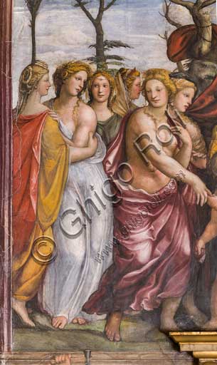 Roma, Villa Farnesina, Stanza di Alessandro (o Stanza delle Nozze Chigi): " La Famiglia di Dario davanti ad Alessandro", affresco del Sodoma (Giovanni Antonio de' Bazzi), 1519. Particolare.