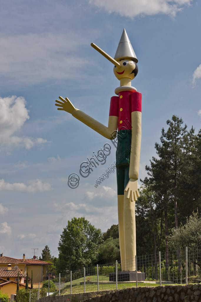 Fondazione Nazionale Carlo Collodi: the tallest wood statue of Pinocchio in the world  was erected on March 2009, 28. It was given by Atelier Volet (an old carpenter's workshop of Vaud Canton in Switzerland)