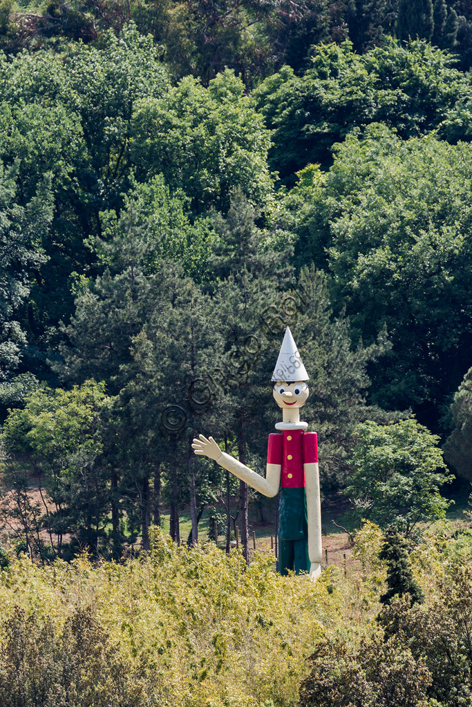 Fondazione Nazionale Carlo Collodi: the tallest wood statue of Pinocchio in the world  was erected on March 2009, 28. It was given by Atelier Volet (an old carpenter's workshop of Vaud Canton in Switzerland)