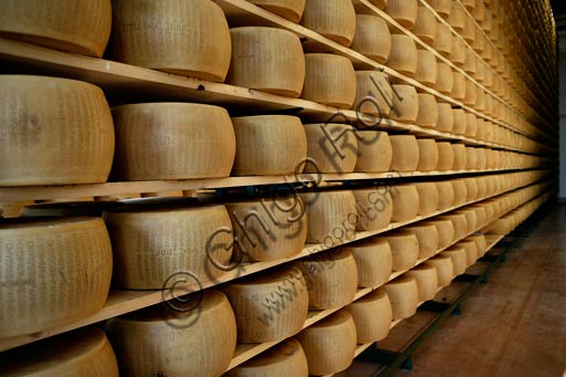 Wheels of Parmesan cheese.