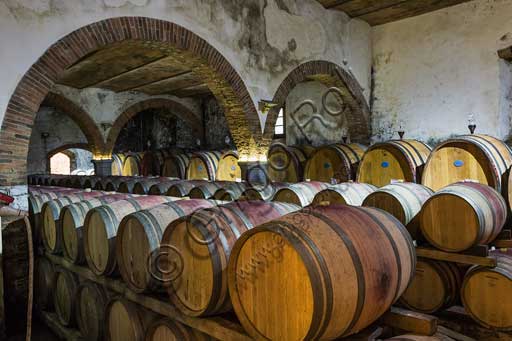 Gaiole in Chianti, Castagnoli:  cantina con botti di Chianti nella Rocca di Castagnoli (azienda che oggi produce olio, vino e che comprende camere in affitto e ristorante).