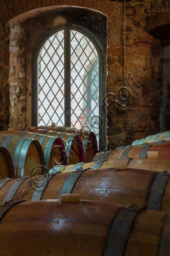  Gaiole in Chianti, Castagnoli: cellar with Chianti barrels in the Rocca di Castagnoli (Castagnoli Castle) which is now a company that produces wine and oil. They have rooms to let and there is a restaurant.