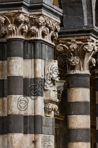Genova, Duomo (Cattedrale di S. Lorenzo), interno, navata centrale, matroneo di sinistra, ordine superiore: "Re Giano" (1307), di scultore campionese detto Maestro di Giano.