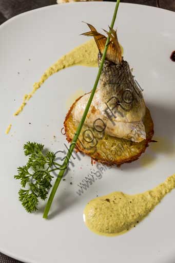 Venezia, Ristorante "Al Graspo de Ua": cornucopia di branzino su rostì di patate e salsa al pistacchio di Bronte.