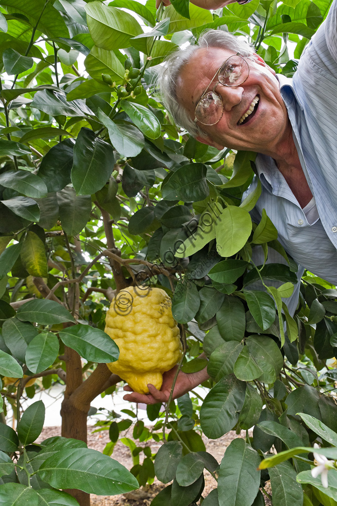 Hesperidarium, The Garden of Citrus Plants Oscar Tintori: Giorgio Tintori beside its ornamental lemon plants.