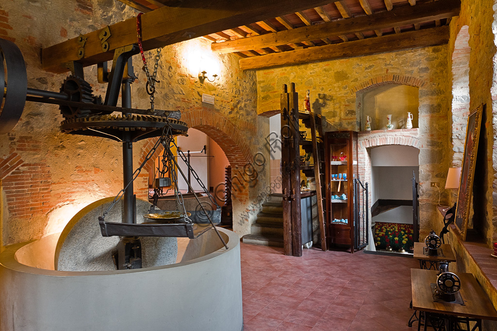 Hotel San Lorenzo (the hotel has been created in an old paper mill on the Pescia creek):  a room with an olive press.