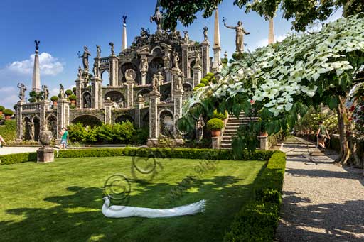 Isola Bella, Palazzo Borromeo, parco con il giardino barocco all'italiana: l'anfiteatro sormontato dalla statua del liocorno, stemma della casata Borromeo.  Nel prato, un pavone bianco, In primo piano a destra, rami fioriti di Cornus Kousa.