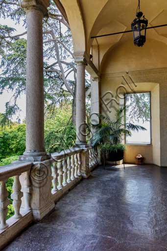   Isola Madre, the Borromeo Palace: the loggia facing the Kashmir cypress.