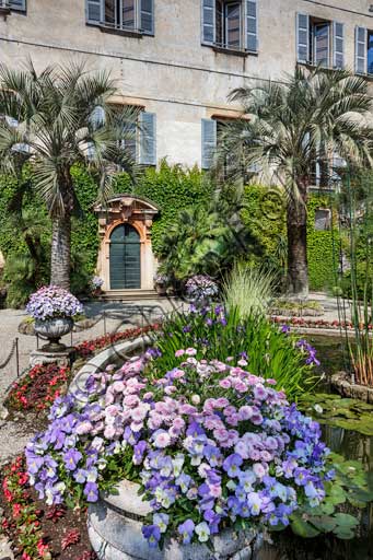   Isola Madre, the Borromeo Palace: partial view of the garden with the water lilies pool and palm trees.