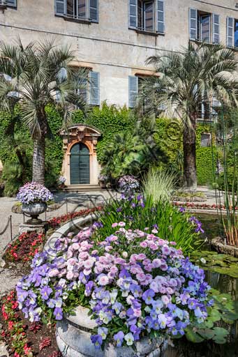 Isola Madre, Palazzo Borromeo:  scorcio del giardino con vasca delle ninfee e palme. 
