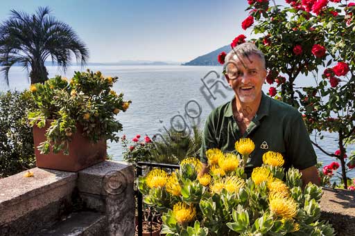 Isola Madre,  Terrazza delle protee: Giancarlo Giustina, capo giardiniere dei giardini delle Isole Borromee.