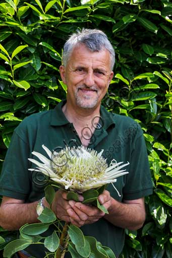 Isola Madre,  Terrazza delle protee: Giancarlo Giustina, capo giardiniere dei giardini delle Isole Borromee.