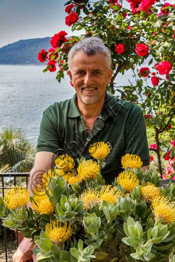 Isola Madre,  Terrazza delle protee: Giancarlo Giustina, capo giardiniere dei giardini delle Isole Borromee.