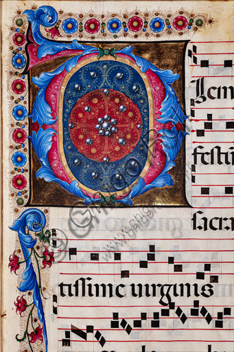 Libreria Piccolomini: corale cod. 12.N, cc.6r con “Iniziale fogliacea”, di Liberale da Verona  (1445 ca - 1527/9). 