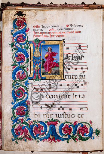 Libreria Piccolomini: corale cod. 16.1, cc. 23v con “Santo Martire”, di Liberale da Verona  (1445 ca - 1527/9). 