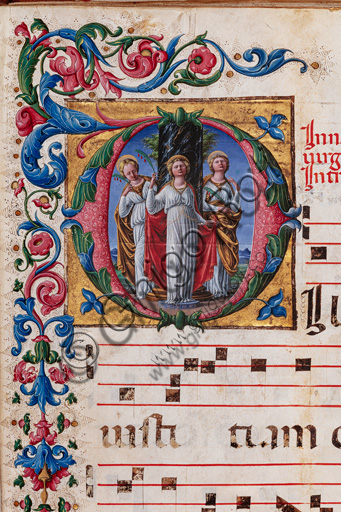 Libreria Piccolomini: corale cod. 17.2, cc. 42v con “Tre sante vergini”, di Liberale da Verona  (1445 ca - 1527/9). Particolare.