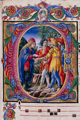Libreria Piccolomini: corale cod. 20.5, cc. 2r con “Parabola dei vignaioli”, di Liberale da Verona  (1445 ca - 1527/9). Particolare.