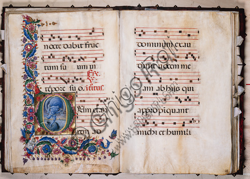Libreria Piccolomini: corale cod. 20.5, cc. 36v-37r con “Eolo”, di Liberale da Verona  (1445 ca - 1527/9). 