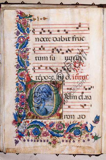 Piccolomini Library: choir book,  cod. 20.5, ff. 36v with “Aeolus”, by  Liberale da Verona  (about 1445  - 1527/9).