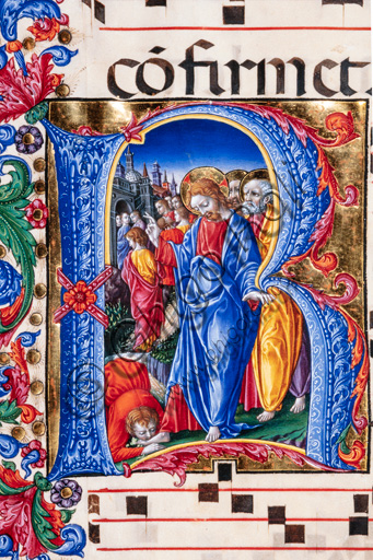 Libreria Piccolomini: corale cod. 24.9, cc. 67v con la “Guarigione del lebbroso”, di Liberale da Verona  (1445 ca - 1527/9). Particolare.