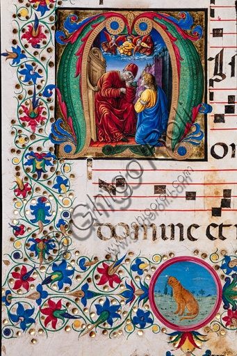 Libreria Piccolomini: corale cod. 25.10, cc. 73v con la “Confessione”, di Francesco Rosselli e Liberale da Verona  (1445 ca - 1527/9). Particolare.