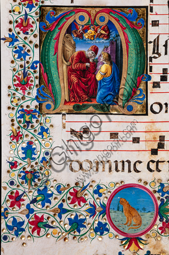 Piccolomini Library: choir book,  cod. 25.10, ff. 73v with the “Sacrament of Penance”, by Francesco Rosselli and Liberale da Verona  (about 1445  - 1527/9). Detail.