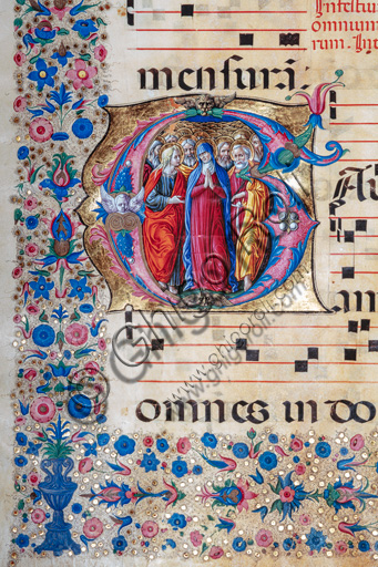 Piccolomini Library: choir book,  cod. 28.12, ff. 94v with the “Virgin and all the Saints”, by Francesco Rosselli and Liberale da Verona  (about 1445  - 1527/9). Detail.