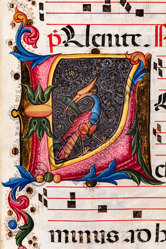 Piccolomini Library: choir book, cod. 5.E, ff. 63r with “Foliated initial”, by Pellegrino di Mariano. Detail.