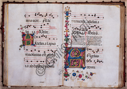 Libreria Piccolomini: corale cod.9.1, cc. 40v-41r con “Iniziale fogliacea”, di Pellegrino di Mariano.